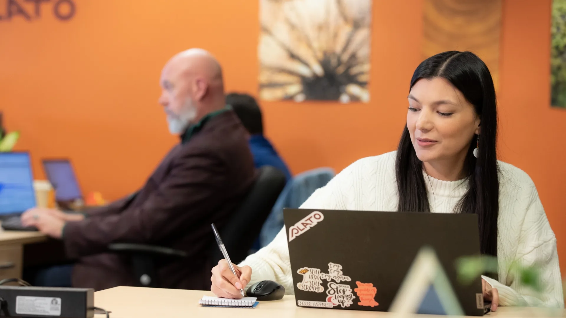Professional Quality Assurance Ltd dba PLATO
